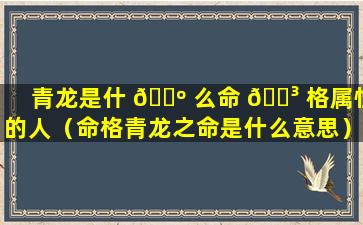 青龙是什 🐺 么命 🌳 格属性的人（命格青龙之命是什么意思）